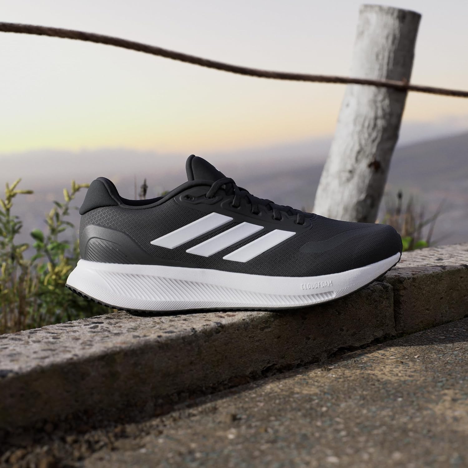 Runfalcon 5 — view 2